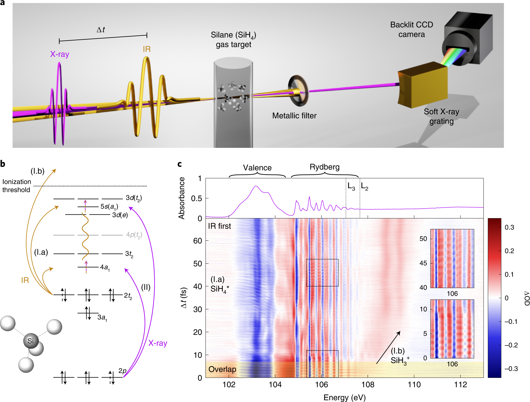 Decoherence and revival in attosecond charge migration driven by  non-adiabatic dynamics | Nature Physics