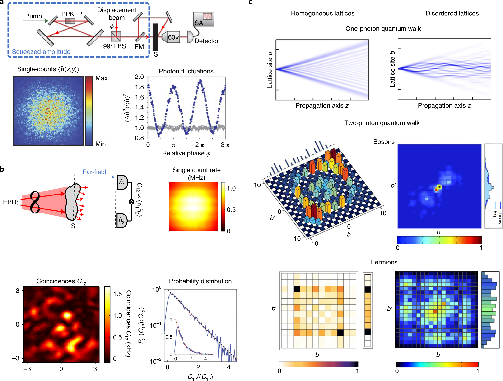 Quantum light in complex media and its applications | Nature