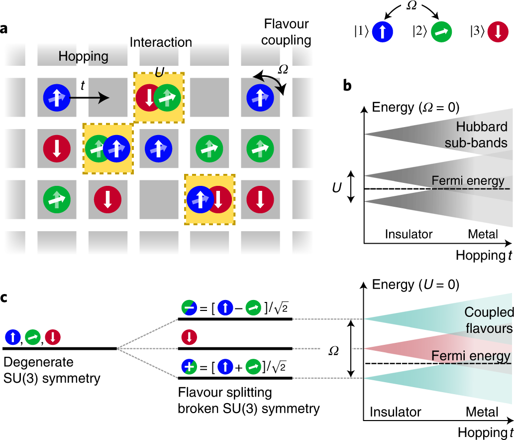 Flavour-selective localization in interacting lattice fermions | Nature  Physics