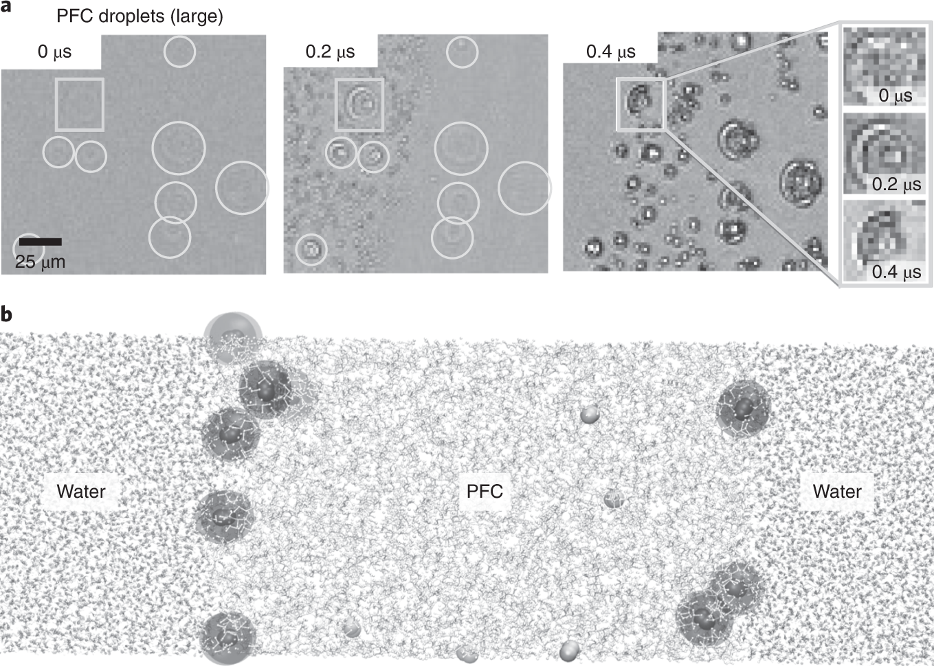 The Art of Forming Uniform Gas Bubbles in Liquid