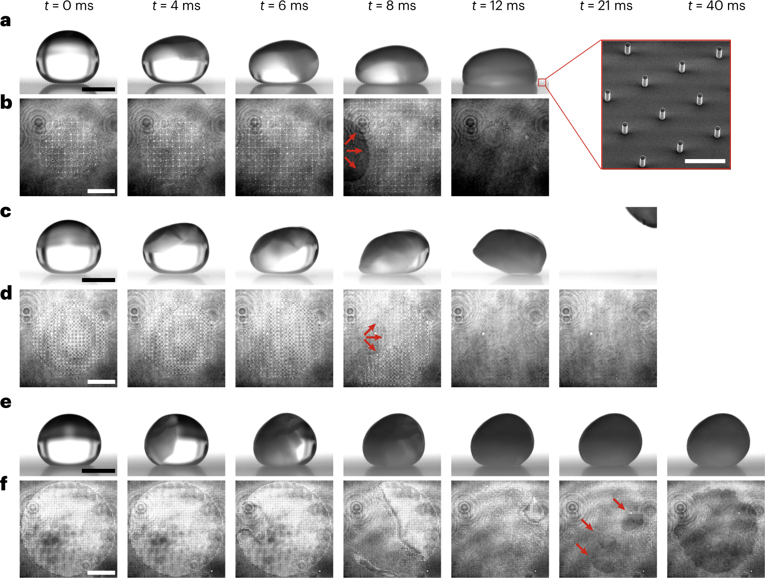 Physical Texturing for Superhydrophobic Polymeric Surfaces: A