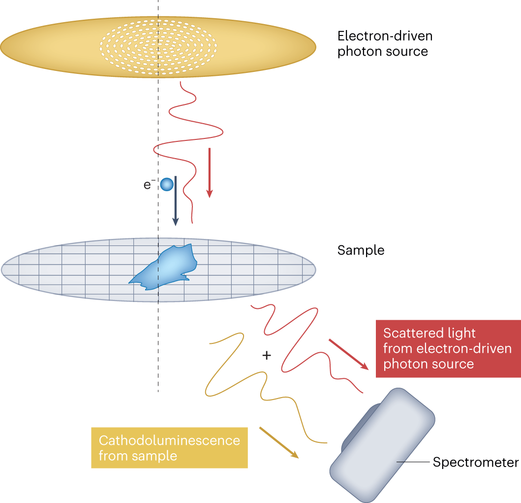 How to light up the electron microscope | Nature Physics