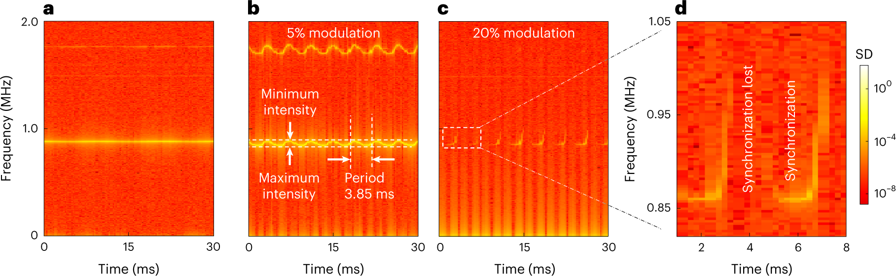 Fig. 2: Persistence, stability and interruption of synchronized oscillations.