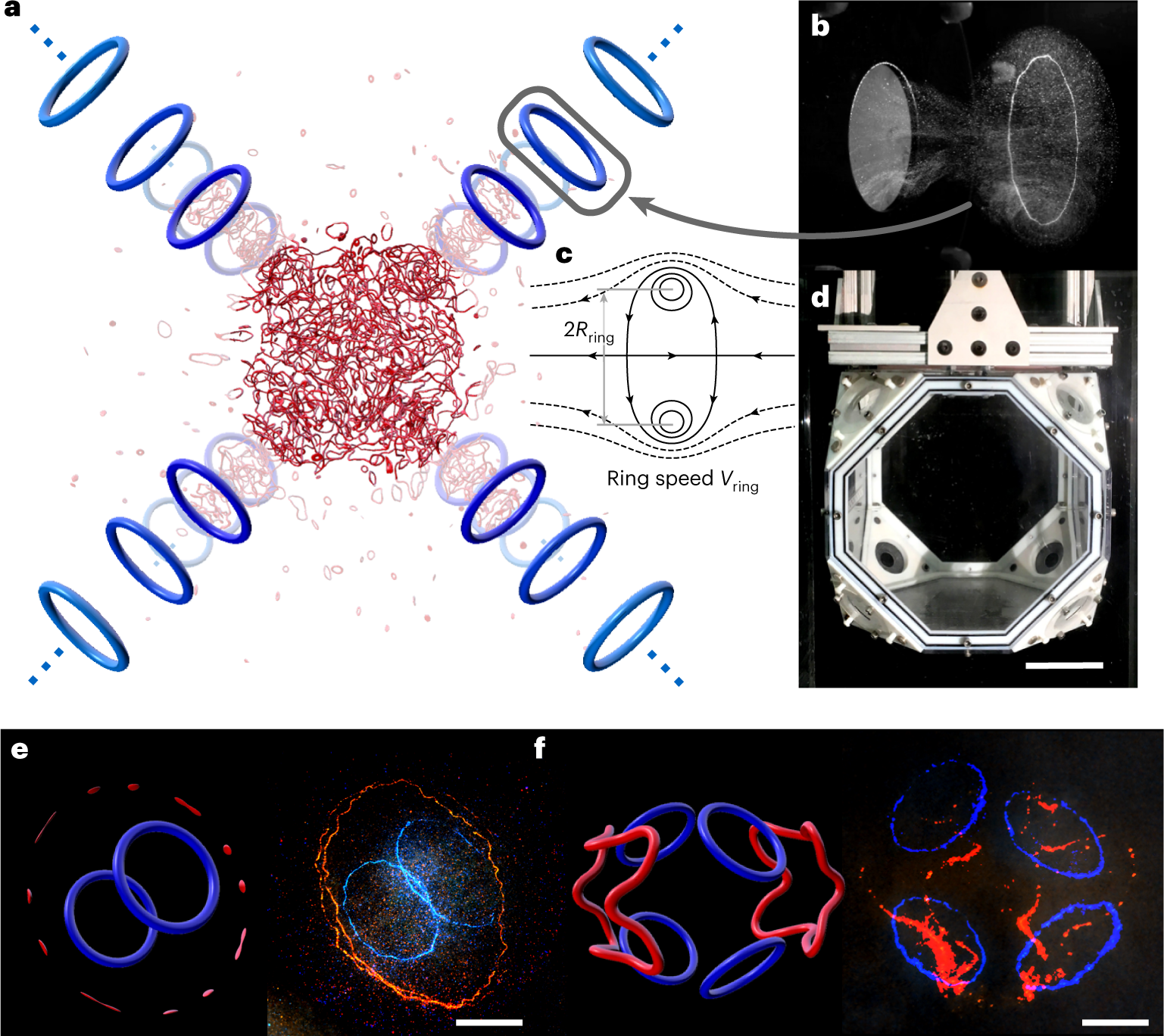 Creation of an isolated turbulent blob fed by vortex rings