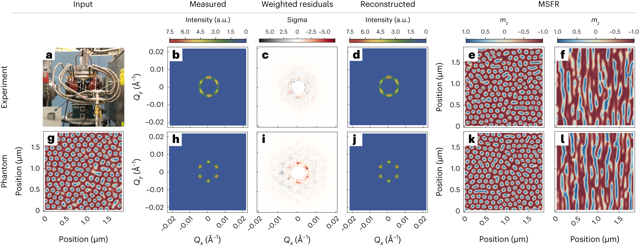 Fig. 2: Magnetization slices of reconstructed experimental and phantom datasets.