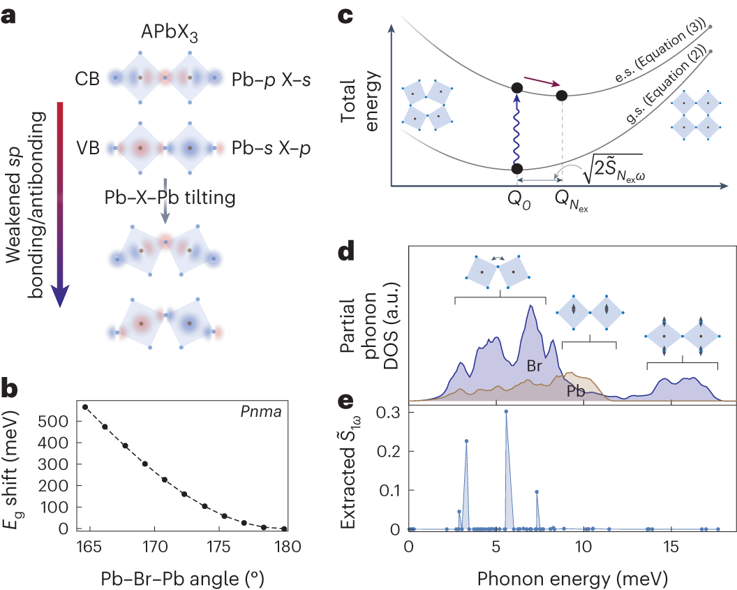 Fig. 3: Model for EP-coupling resulting from distortions of the Pb–X sublattice.