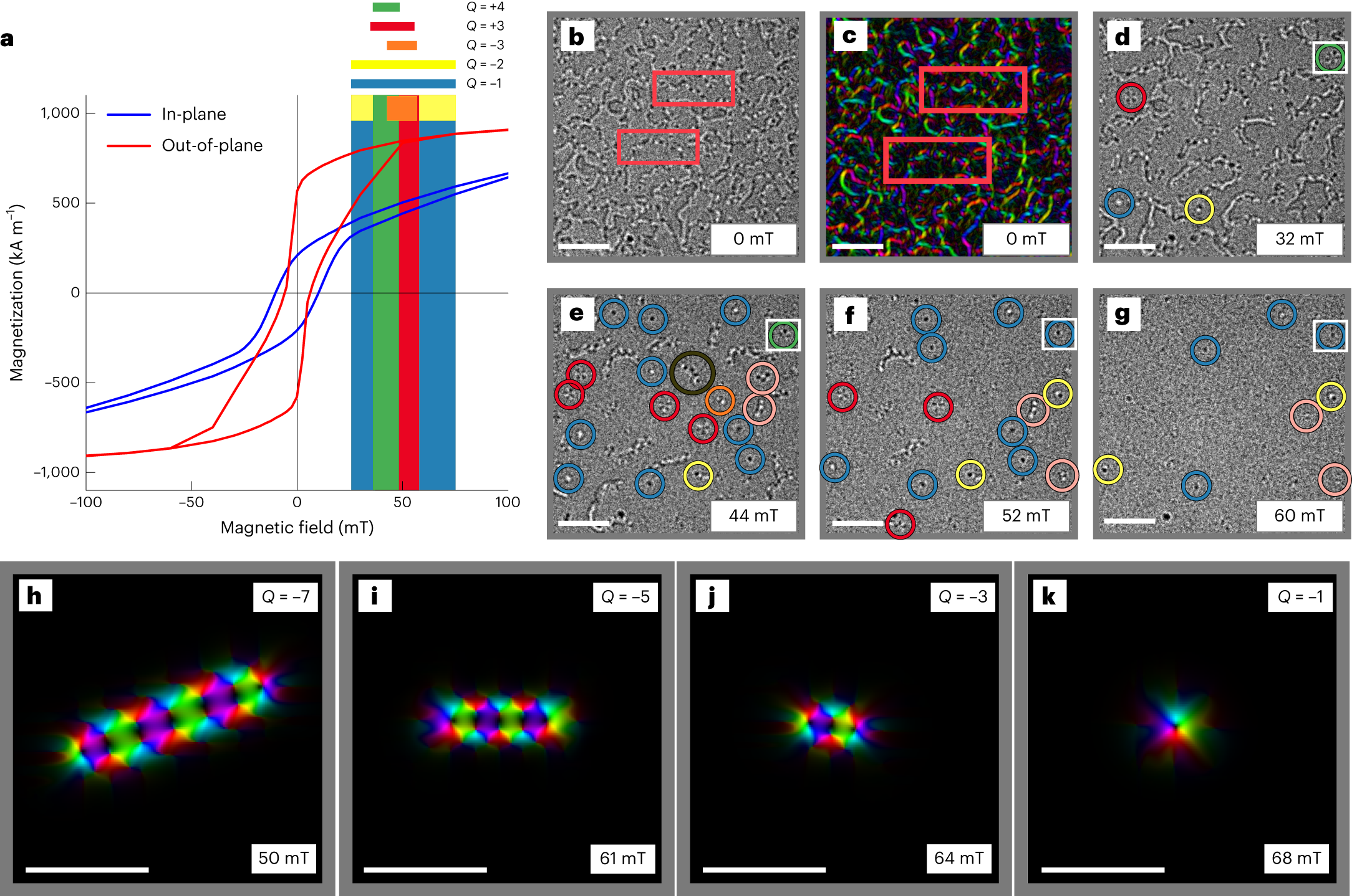 Fig. 3: Magnetic domain structure and evolution of various spin objects in an applied OOP magnetic field.