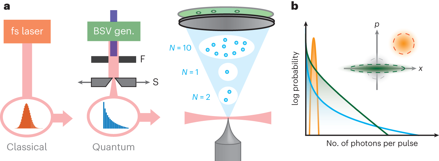 Nonclassical Light