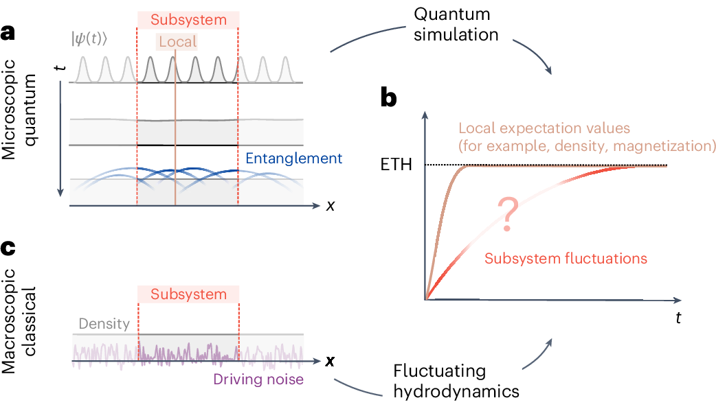 Fig. 1: Emergence of hydrodynamic fluctuations in a chaotic quantum system.