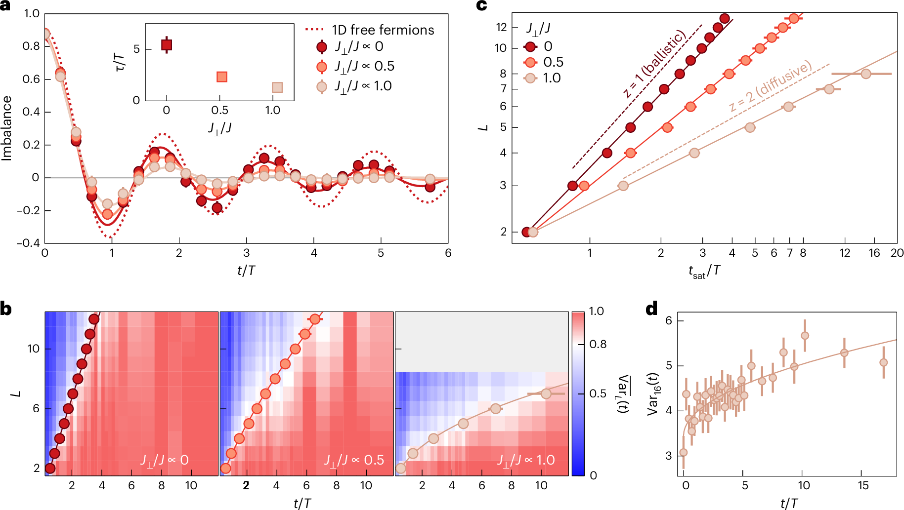 Fig. 3: Time evolution of the local mean density and particle-number fluctuations.