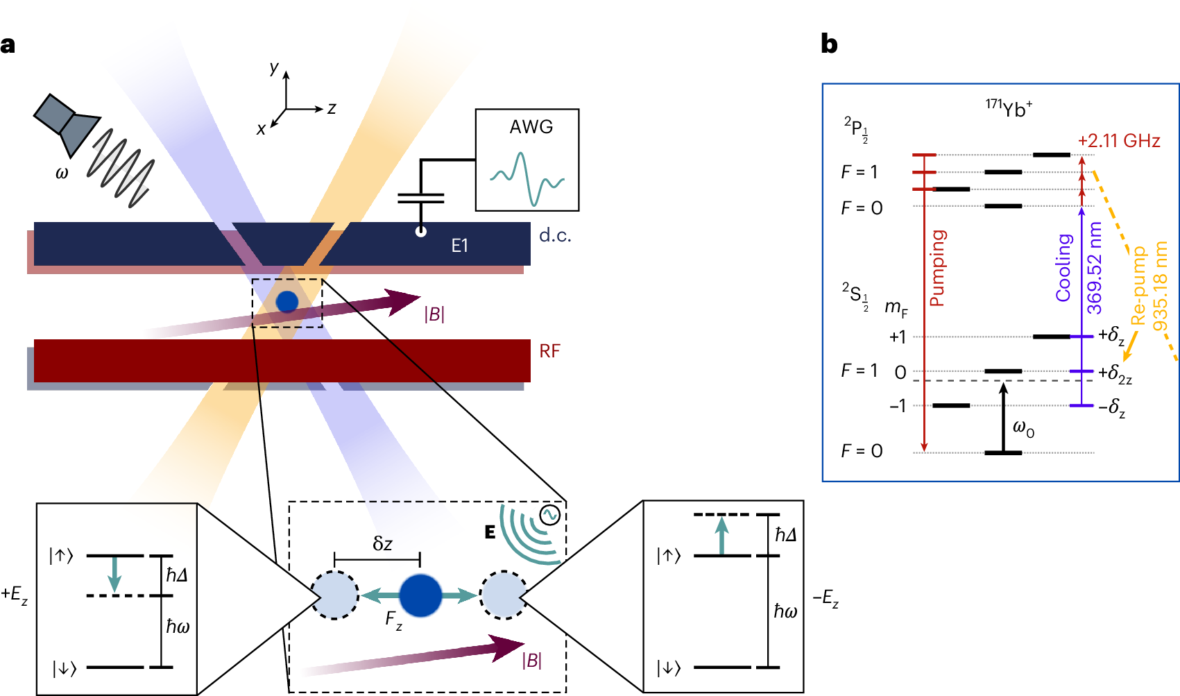 電場検出の世界記録技術、脳スキャン応用の可能性（Sussex world record discovery detecting electric fields has ‘exciting’ potential for real-world applications）