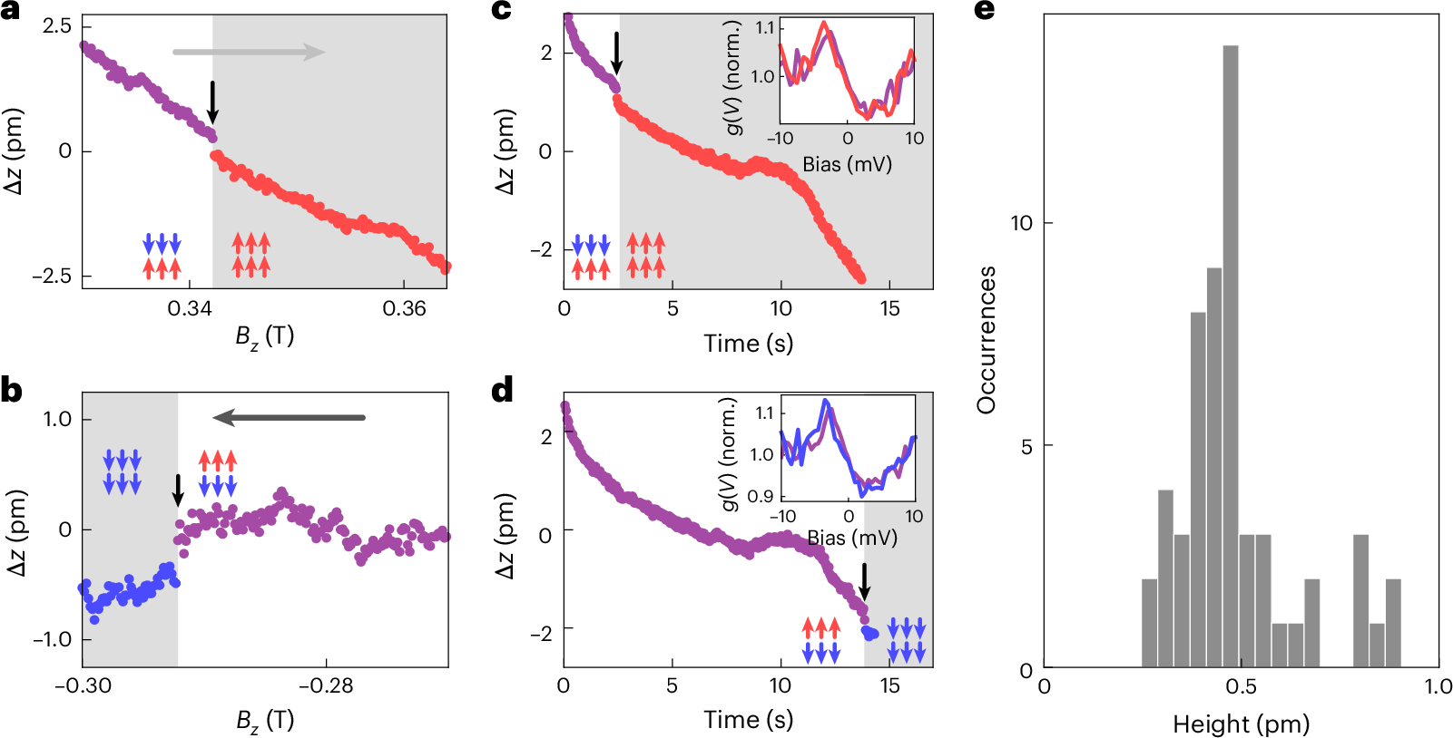 Fig. 4: Magnetostriction of the surface layer.