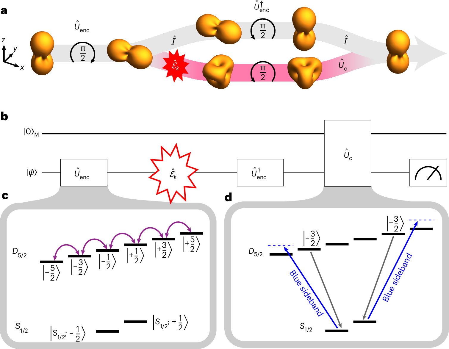 Quantum error correction typically encodes one logical qubit across many physical qubits. An experiment now encodes and corrects a qubit within the multiple int