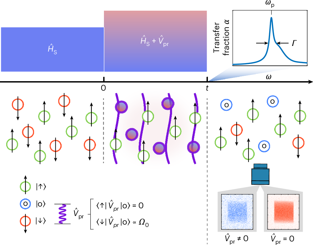 Spectroscopy of quantum many-body systems often relies on Fermi’s golden rule, but its regime of validity is unclear. Now measurements in a strongly interacting