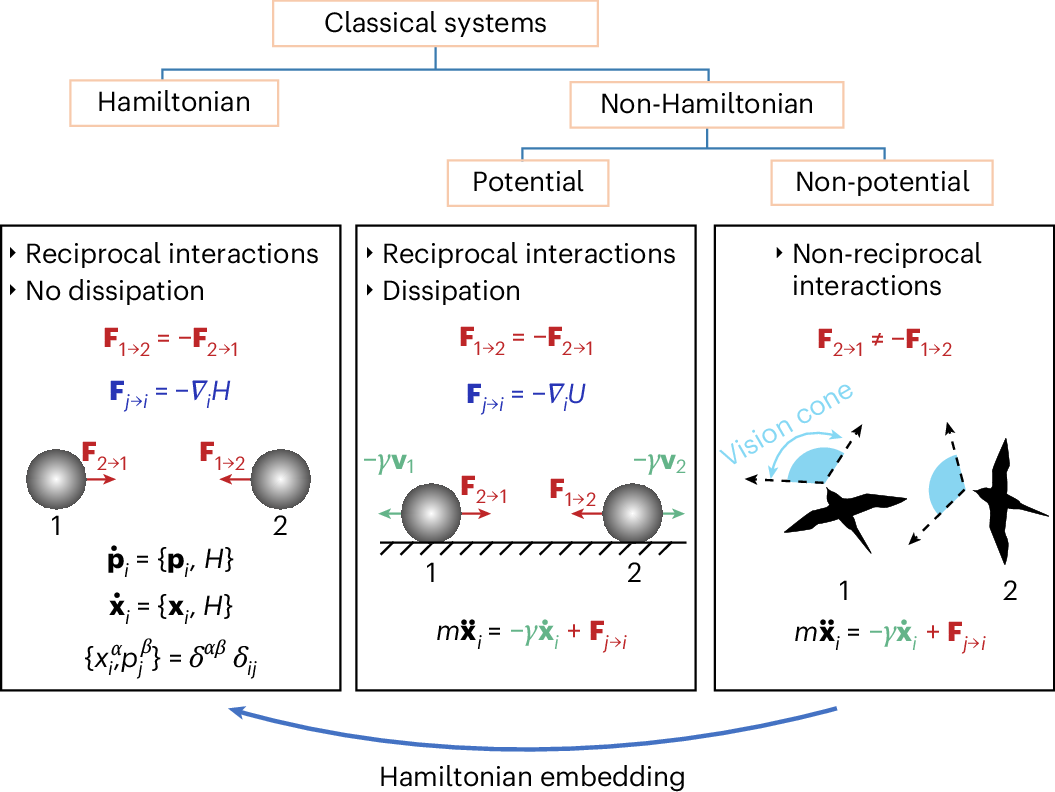 Many active and driven systems exhibit non-reciprocal interactions, making them hard to describe with standard methods. Now a constrained Hamiltonian embedding 