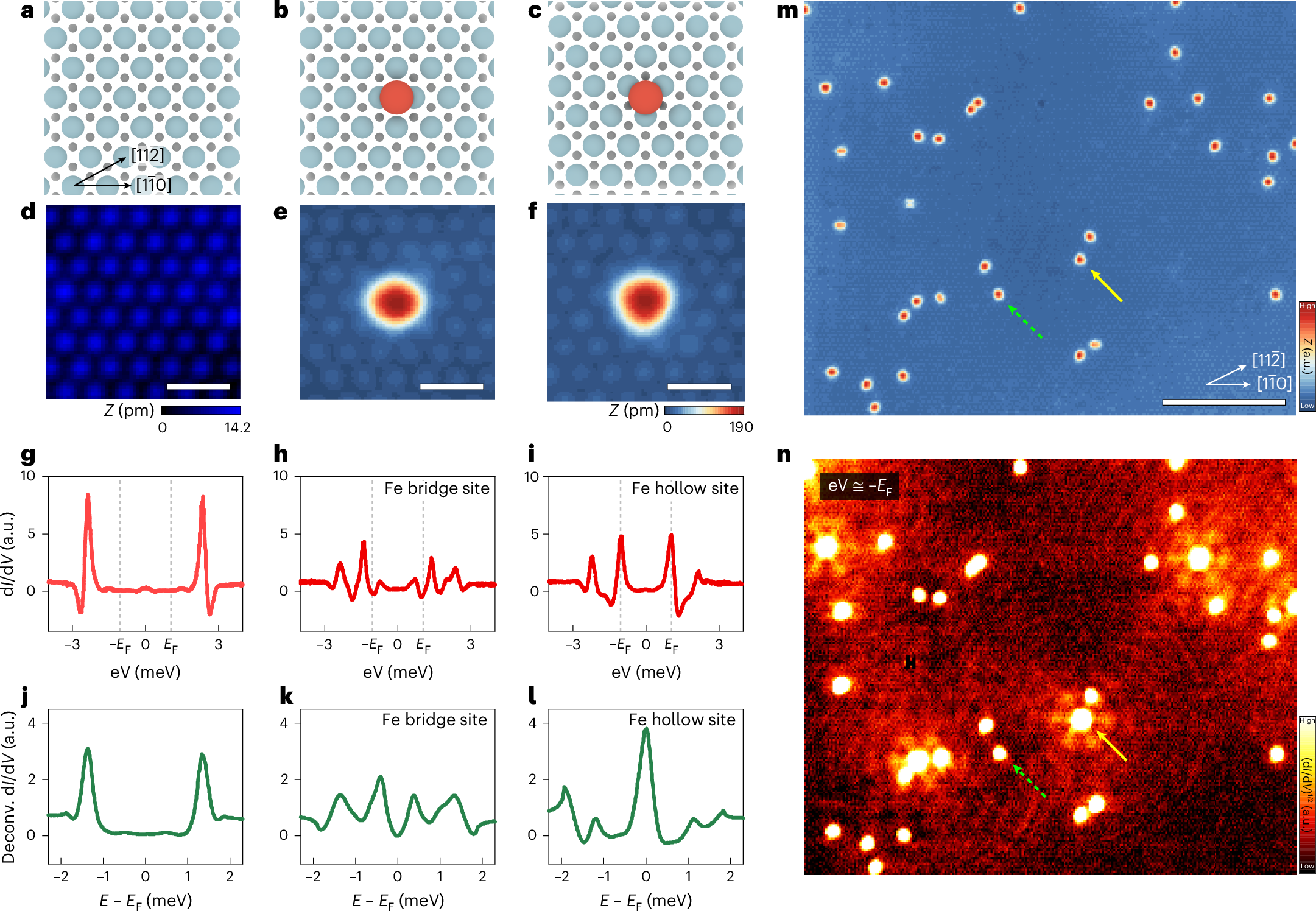 The presence of Majorana zero modes is often difficult to confirm experimentally due to the detrimental effects of disorder. Now, a chain of magnetic atoms on a