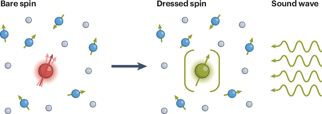 Sound protection for electron spins