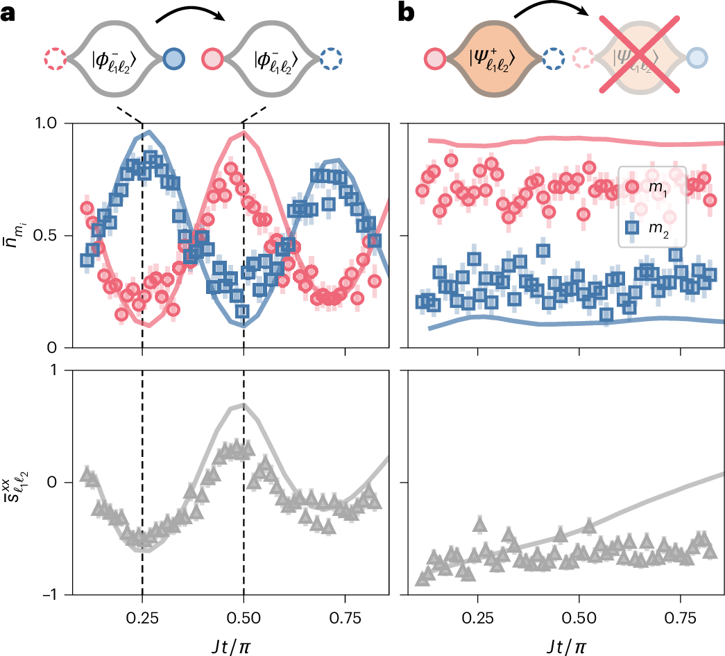 Zero-flux and π-flux loop dynamics. The two initial entangled gauge states produce, respectively, coherent matter tunnelling and inhibited transport.