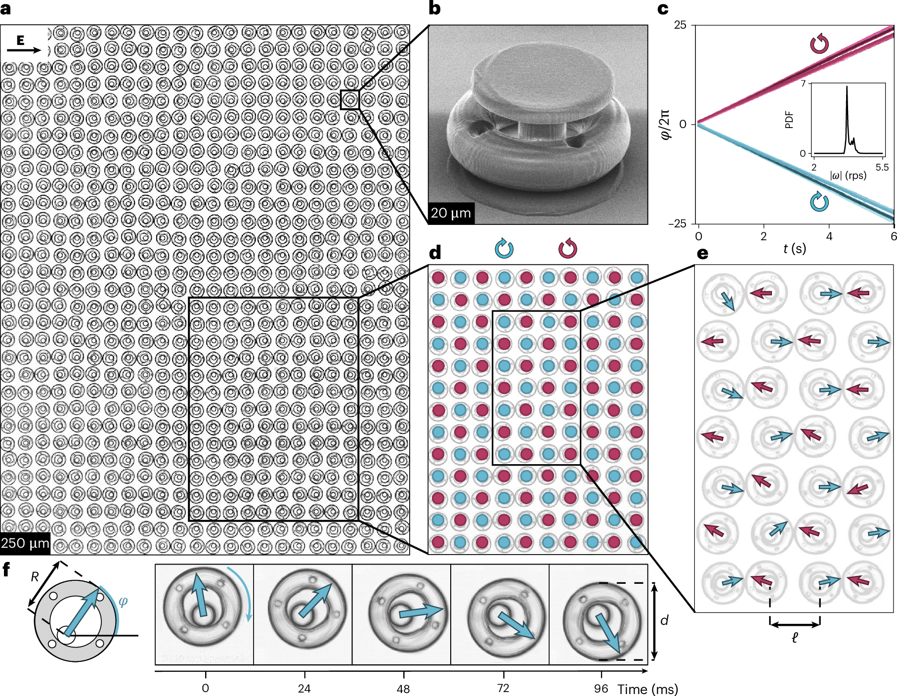 Systems of coupled self-propulsive components, both biological and synthetic, display coordinated dynamics. Experiments with 3D printed motors now show that rot