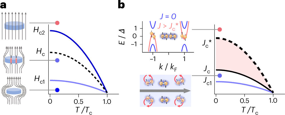 Photograph accompanying Max Planck physicists outrun vortices to push superconductors toward their depairing current