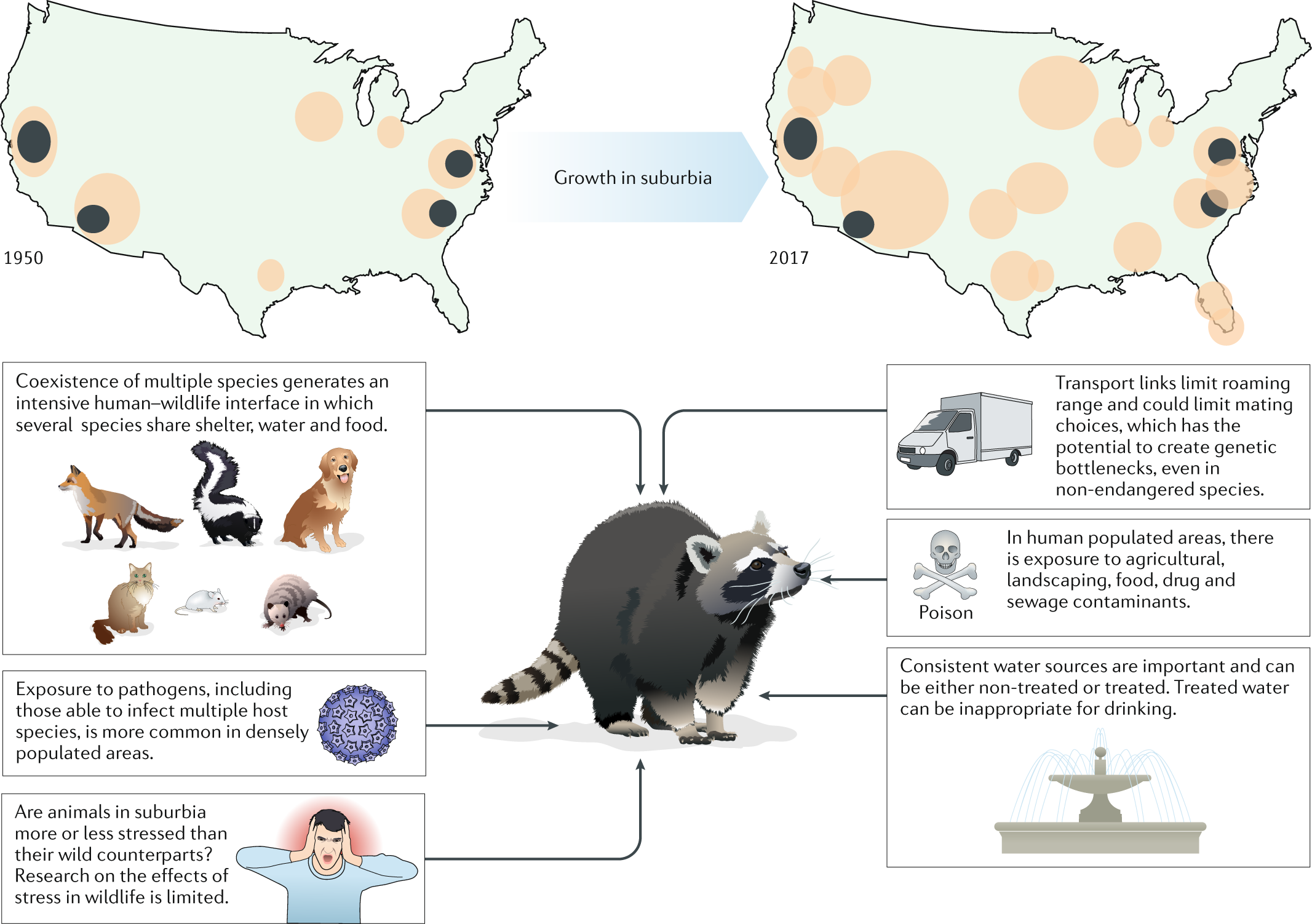 Cancer in wildlife: patterns of emergence