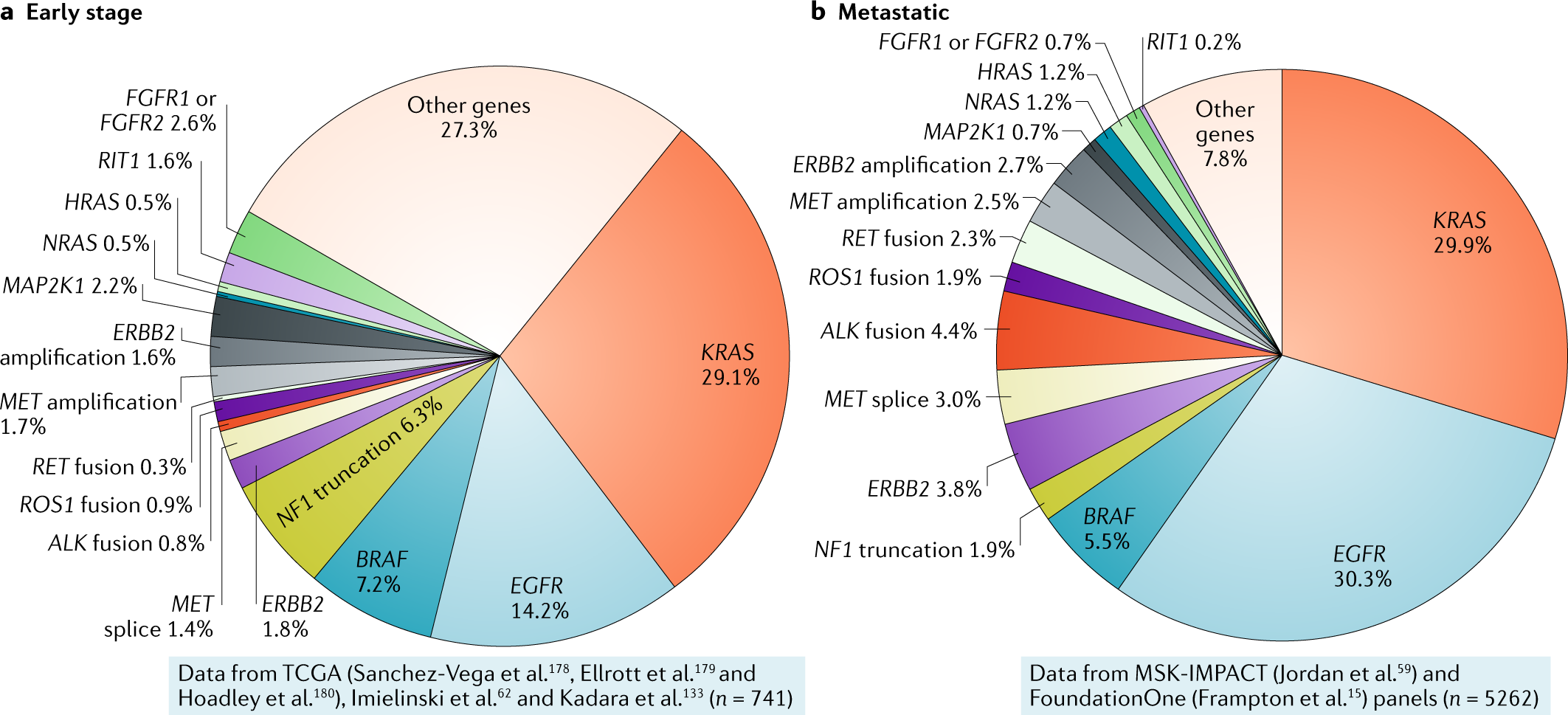 Co-occurring genomic alterations in non-small-cell lung cancer