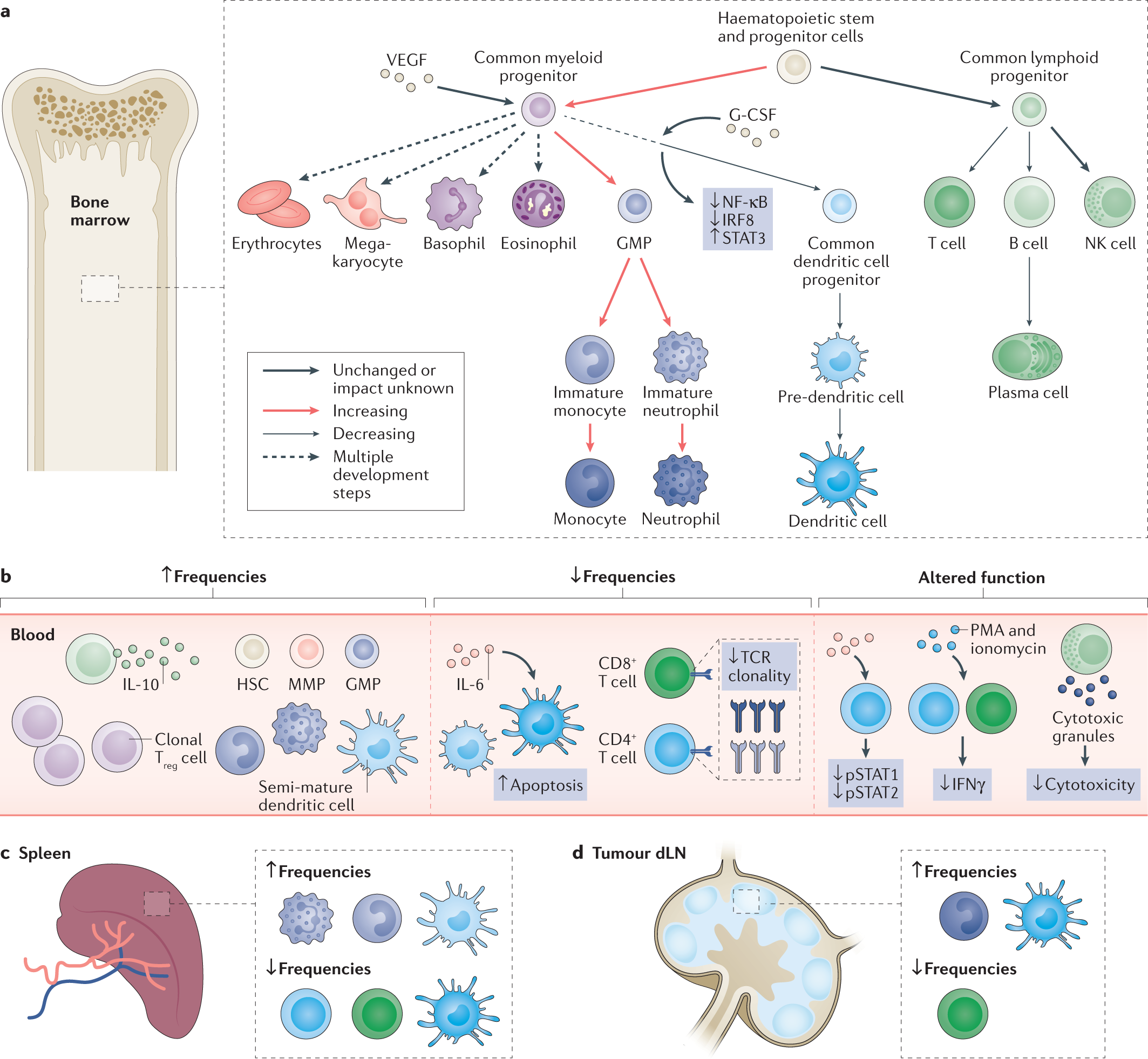 forsvar Den fremmede låg Systemic immunity in cancer | Nature Reviews Cancer