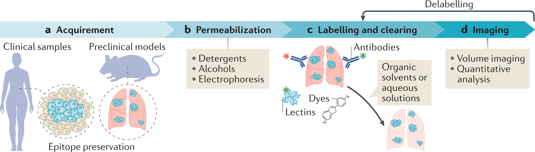 Illustrated Glossary of Organic Chemistry - Paraffin