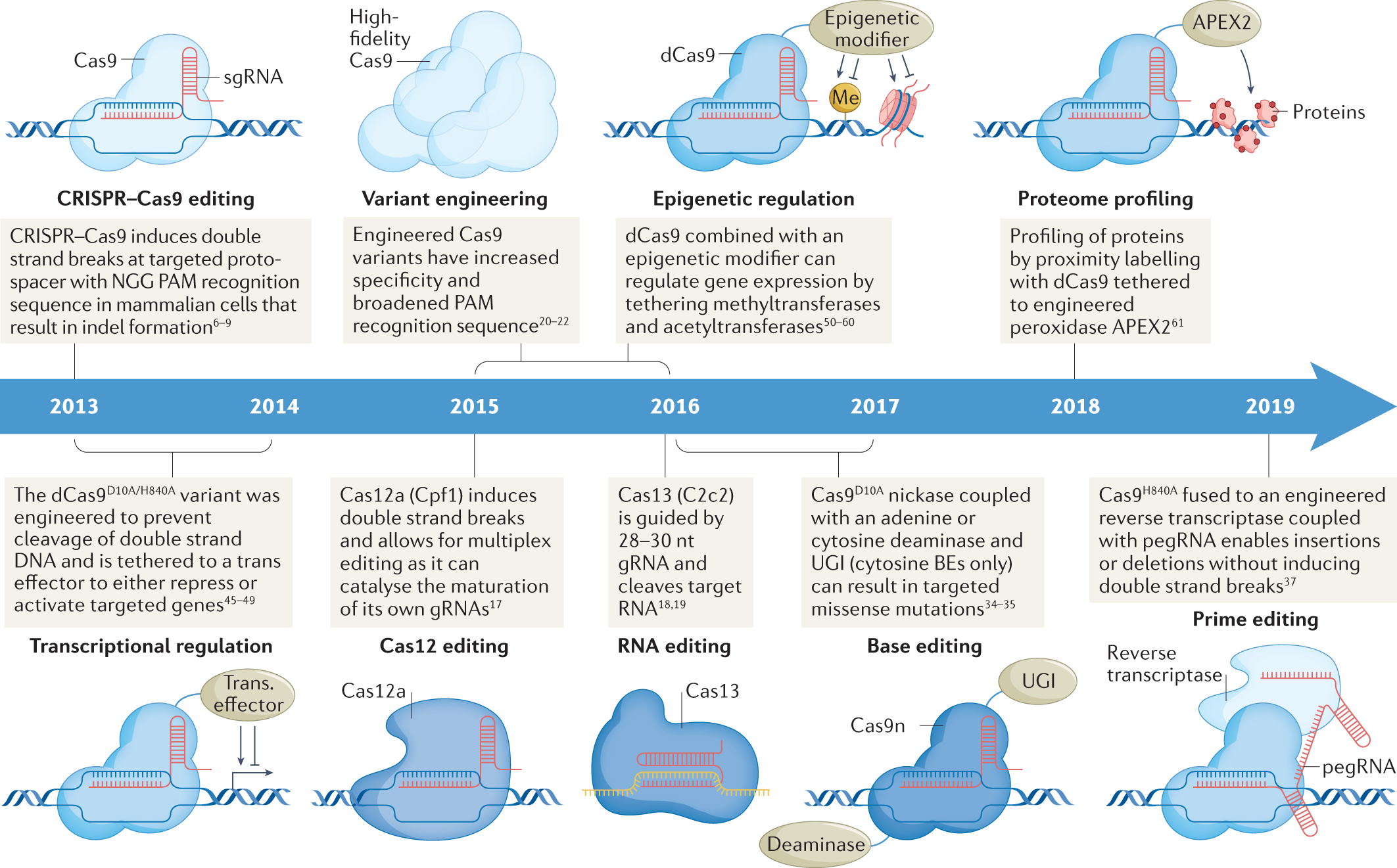 Crispr In Cancer Biology And Therapy Nature Reviews Cancer