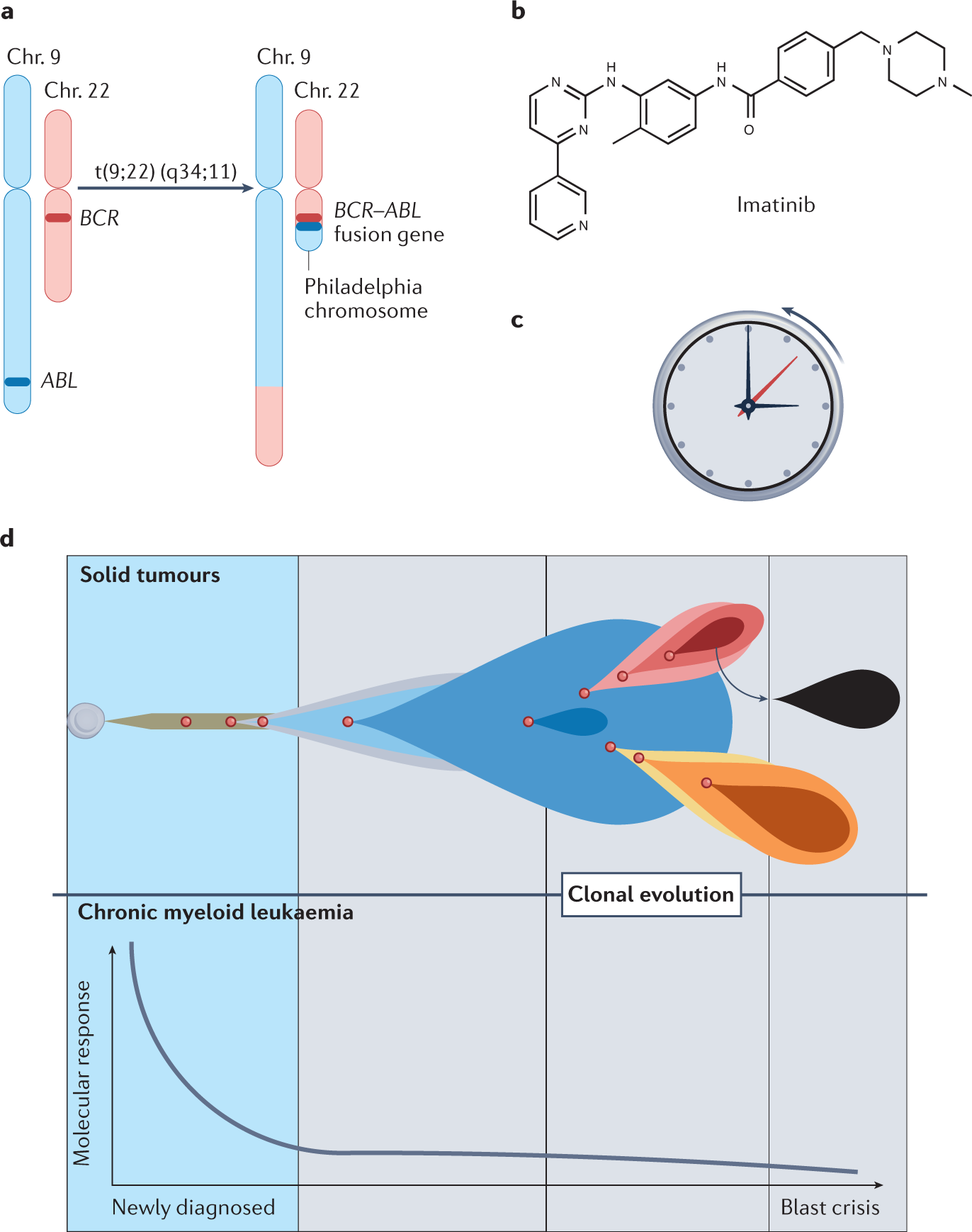ERK reinforces actin polymerization to power persistent edge protrusion  during motility | Science Signaling, image size:1372x1738