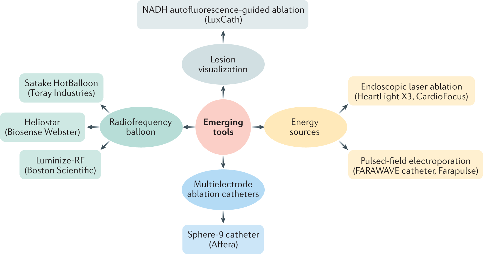 Impact of sex on clinical, procedural characteristics and outcomes of  catheter ablation for ventricular arrhythmias according to underlying heart  disease