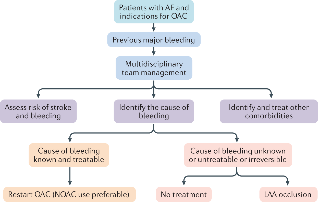 Cardiac Vascular Sentral Kuala Lumpur - CVSKL - A To Z About AF (Atrial Fibrillation)