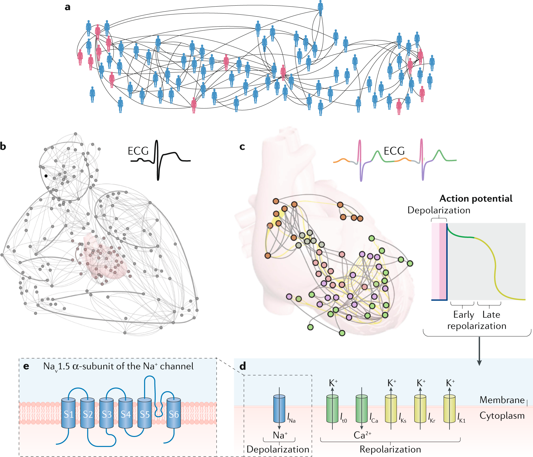 Systems biology in cardiovascular ...