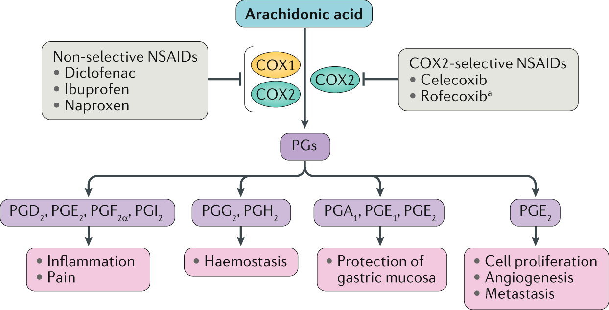 Cardiovascular effects and safety of (non-aspirin) NSAIDs | Nature ...
