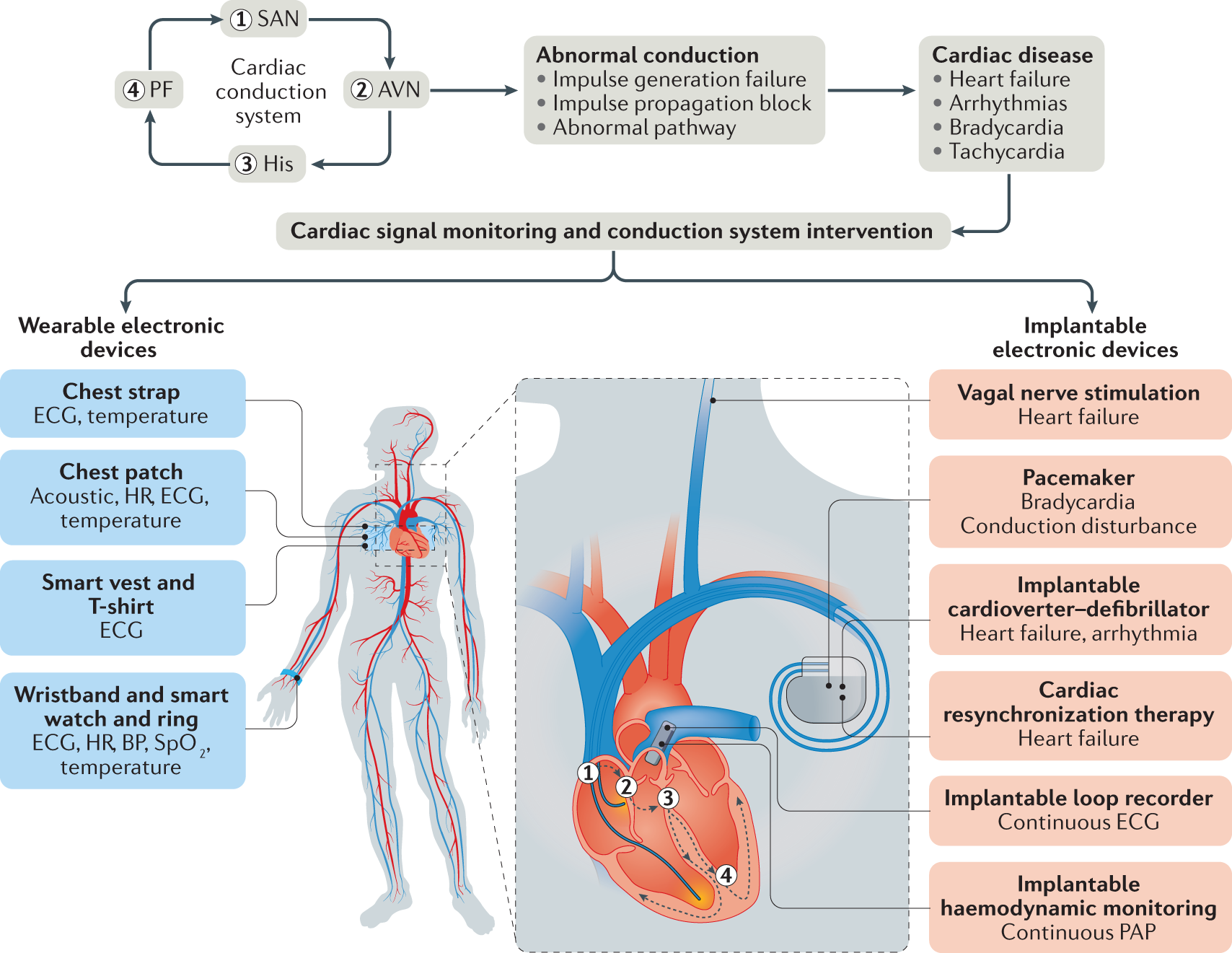 self-powered-cardiovascular-electronic-devices-and-systems-nature-reviews-cardiology