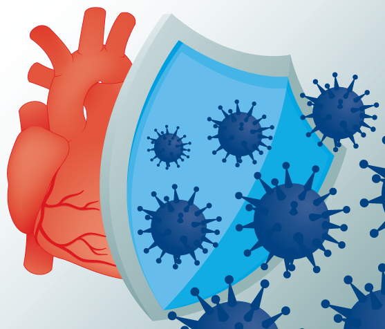 Flu Vaccination Shortly After Mi Reduces The Risk Of Complications Nature Reviews Cardiology