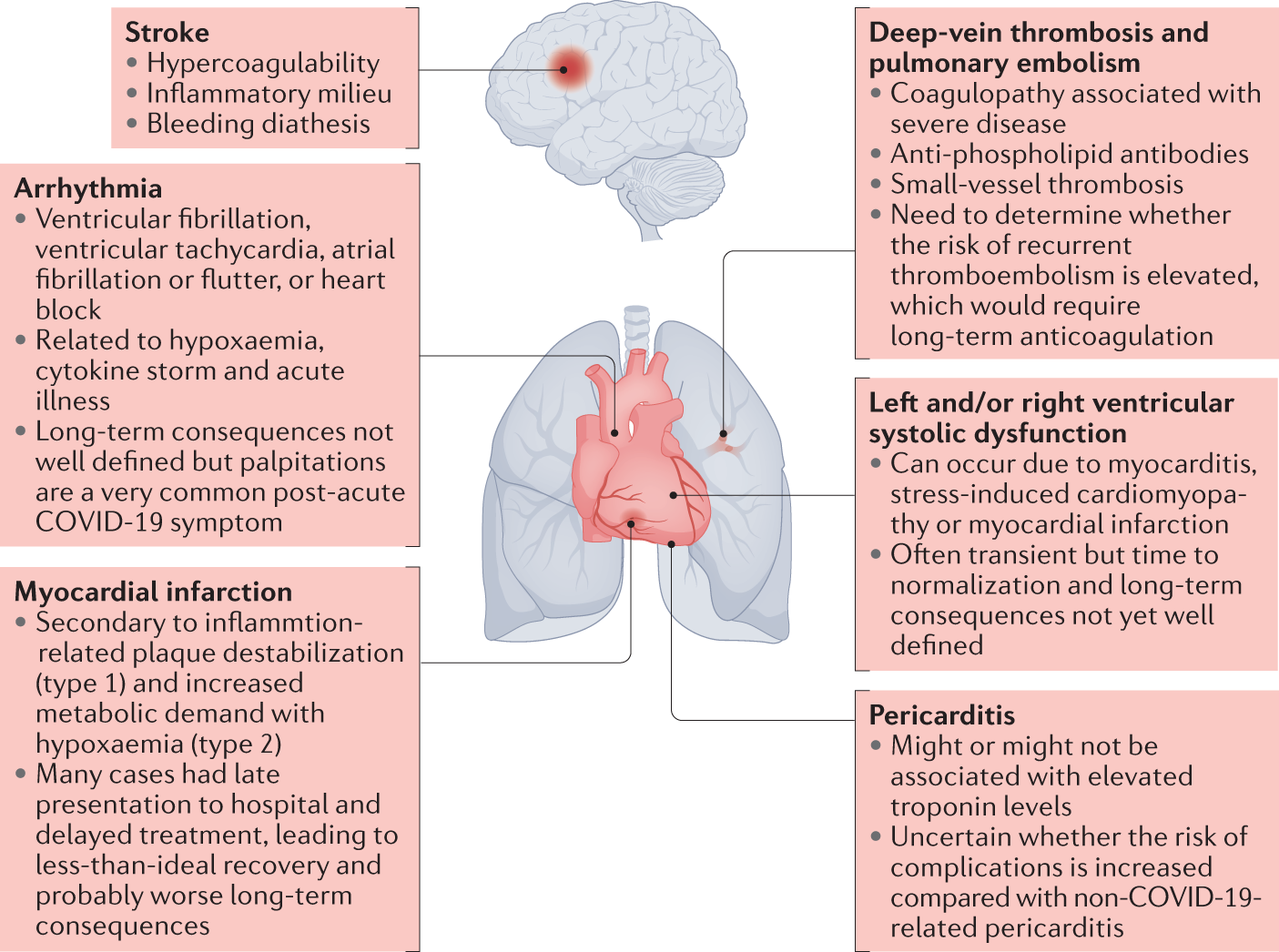 Cardiac involvement in the long-term implications of COVID-19 | Nature  Reviews Cardiology