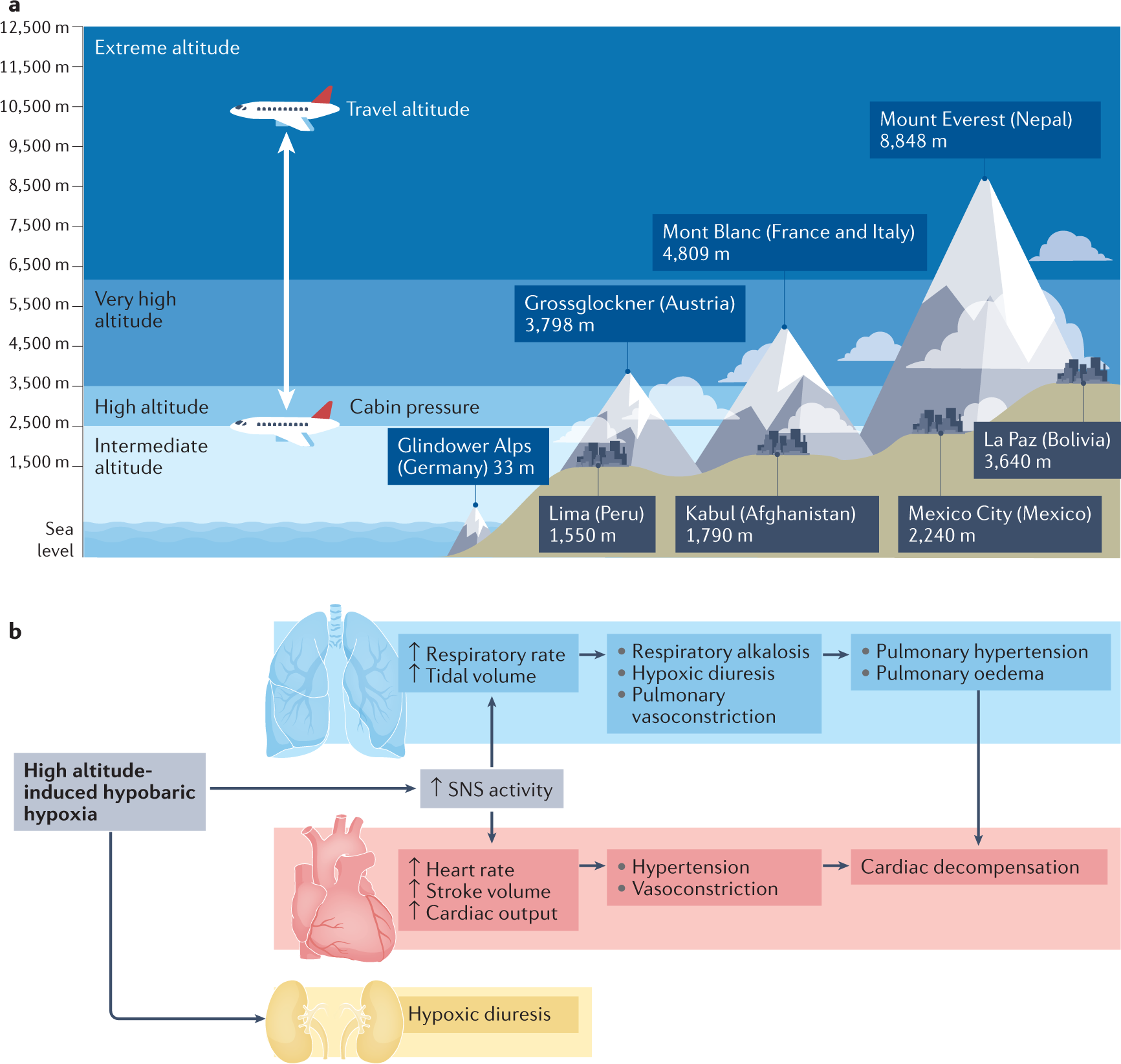 Travelling with heart failure risk assessment and practical recommendations Nature Reviews Cardiology