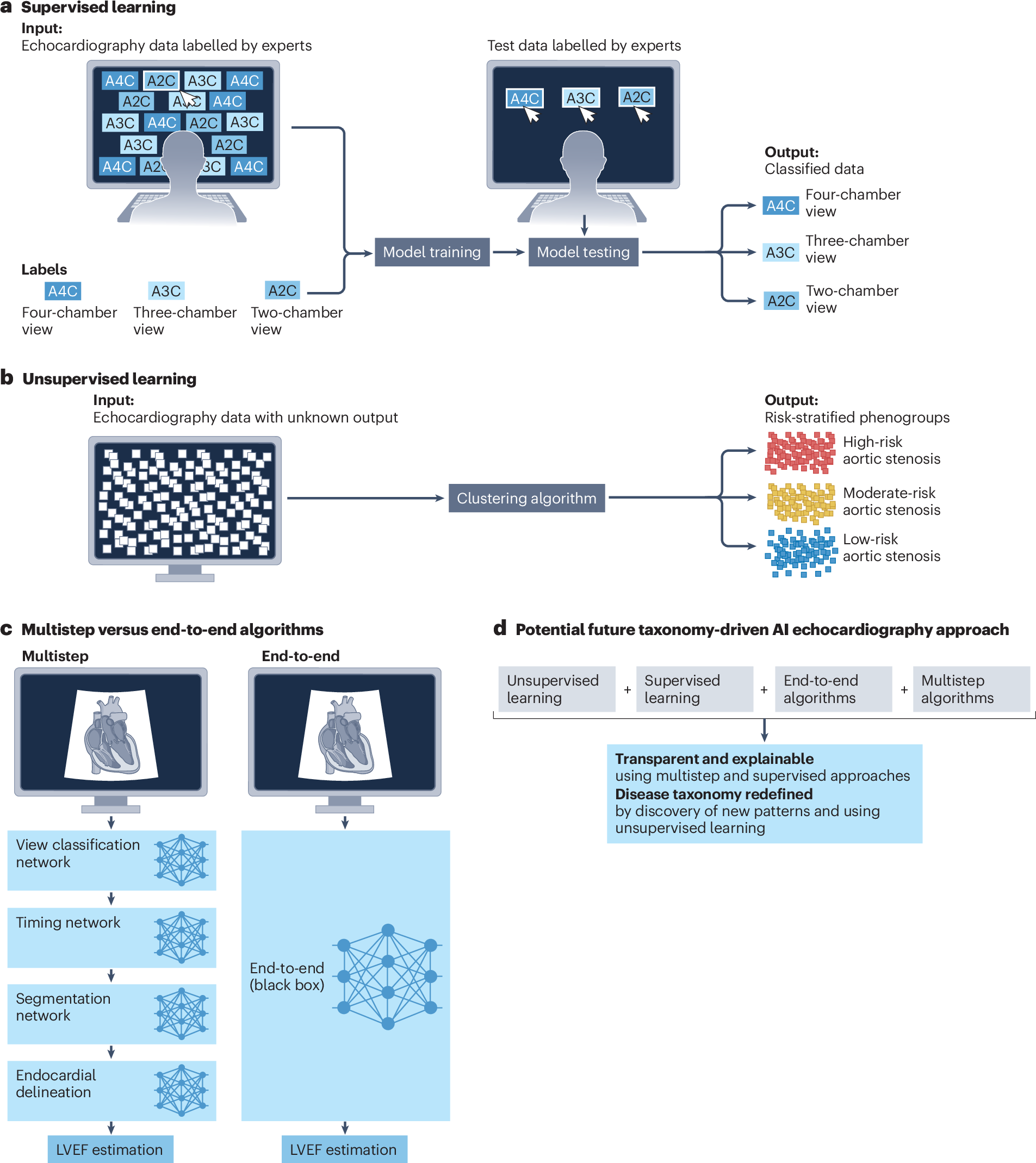 Artificial intelligence-enhanced echocardiography in cardiovascular disease  management | Nature Reviews Cardiology