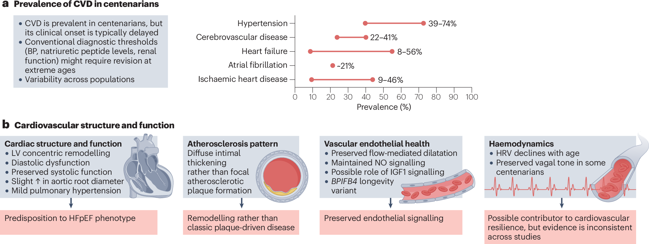 Cardiovascular resilience in centenarians