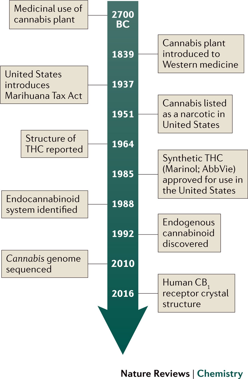 Cannabinoid Science 101: What is Anandamide (AEA)? - Sensi Seeds