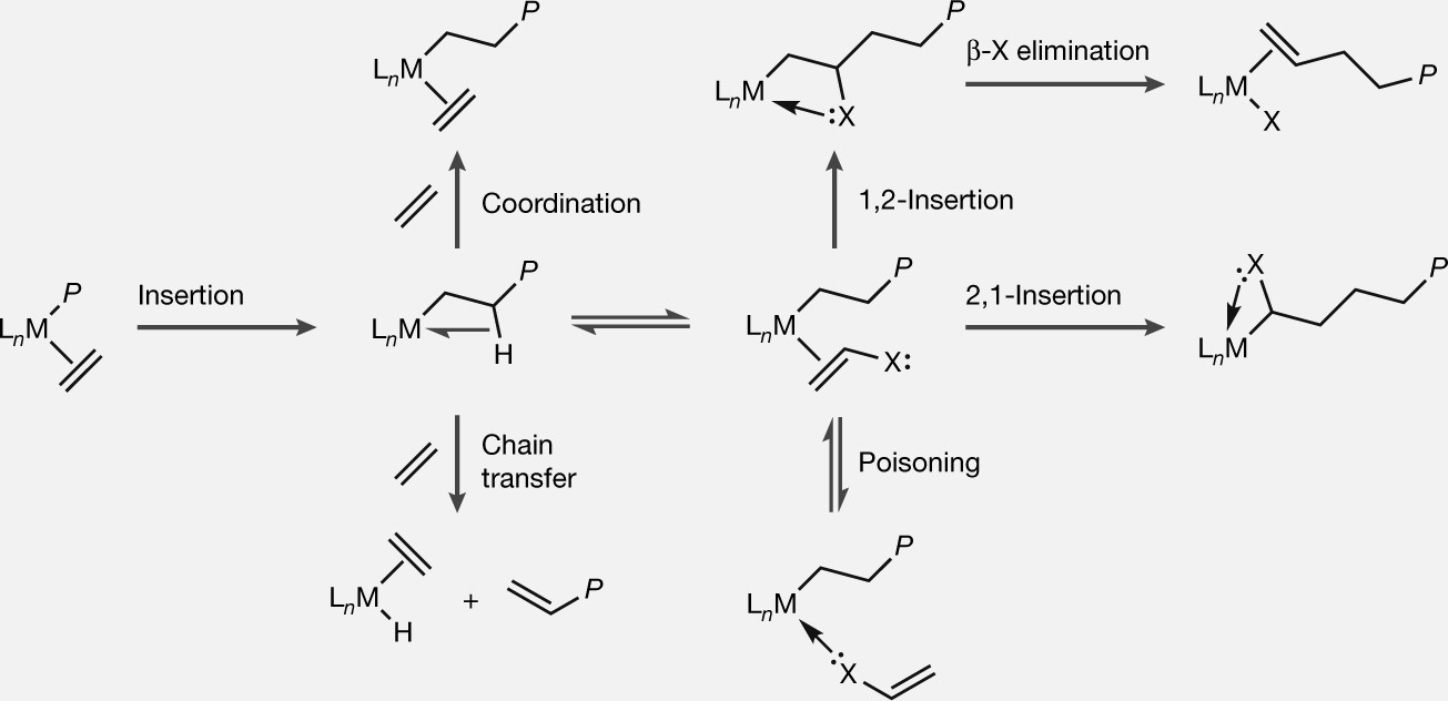 Morpholine-Stabilized Cationic Aluminum Complexes and Their