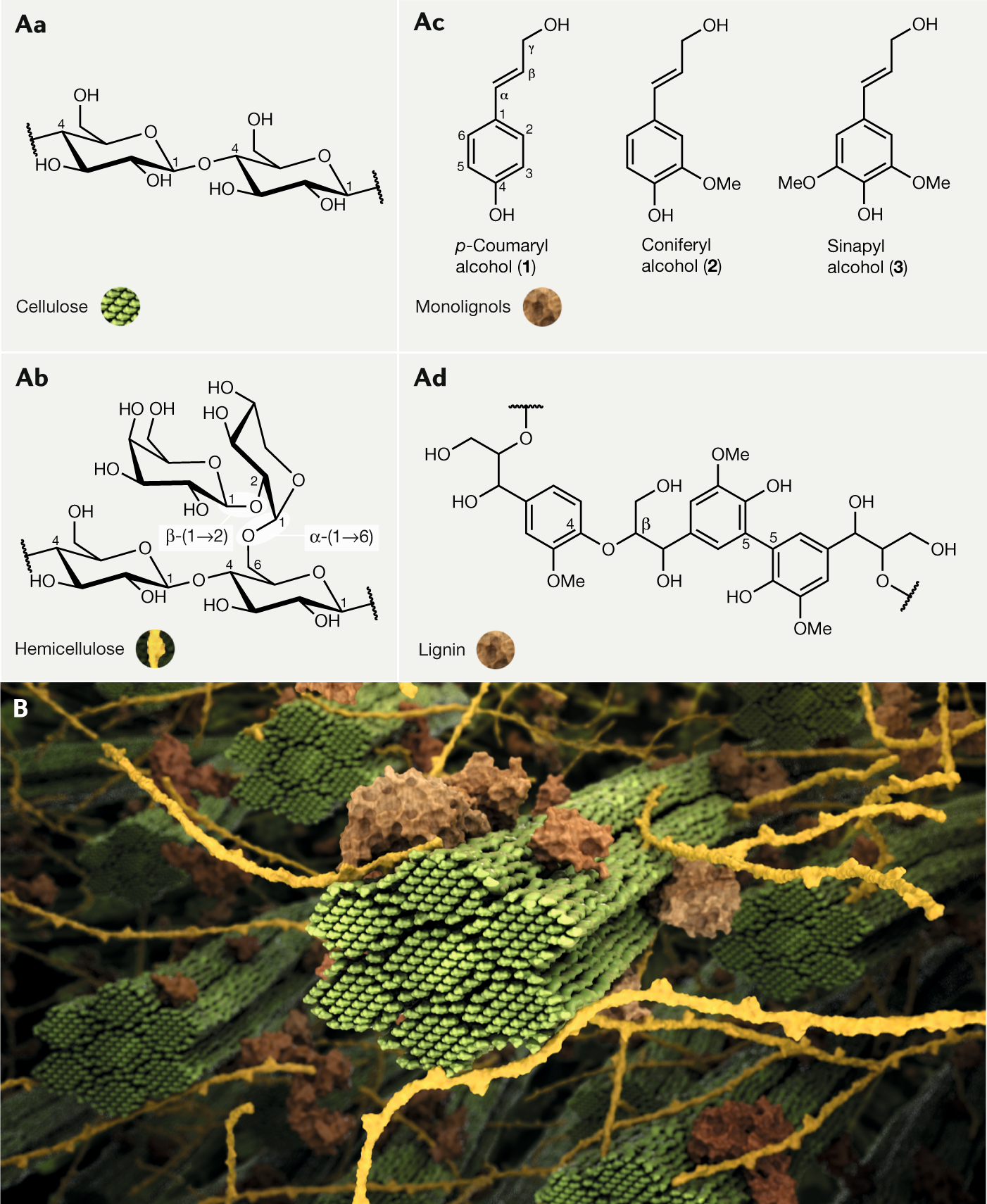 biomass forces driving in lignocellulosic Molecular-level ... in biomass Molecular-level lignocellulosic forces driving ...