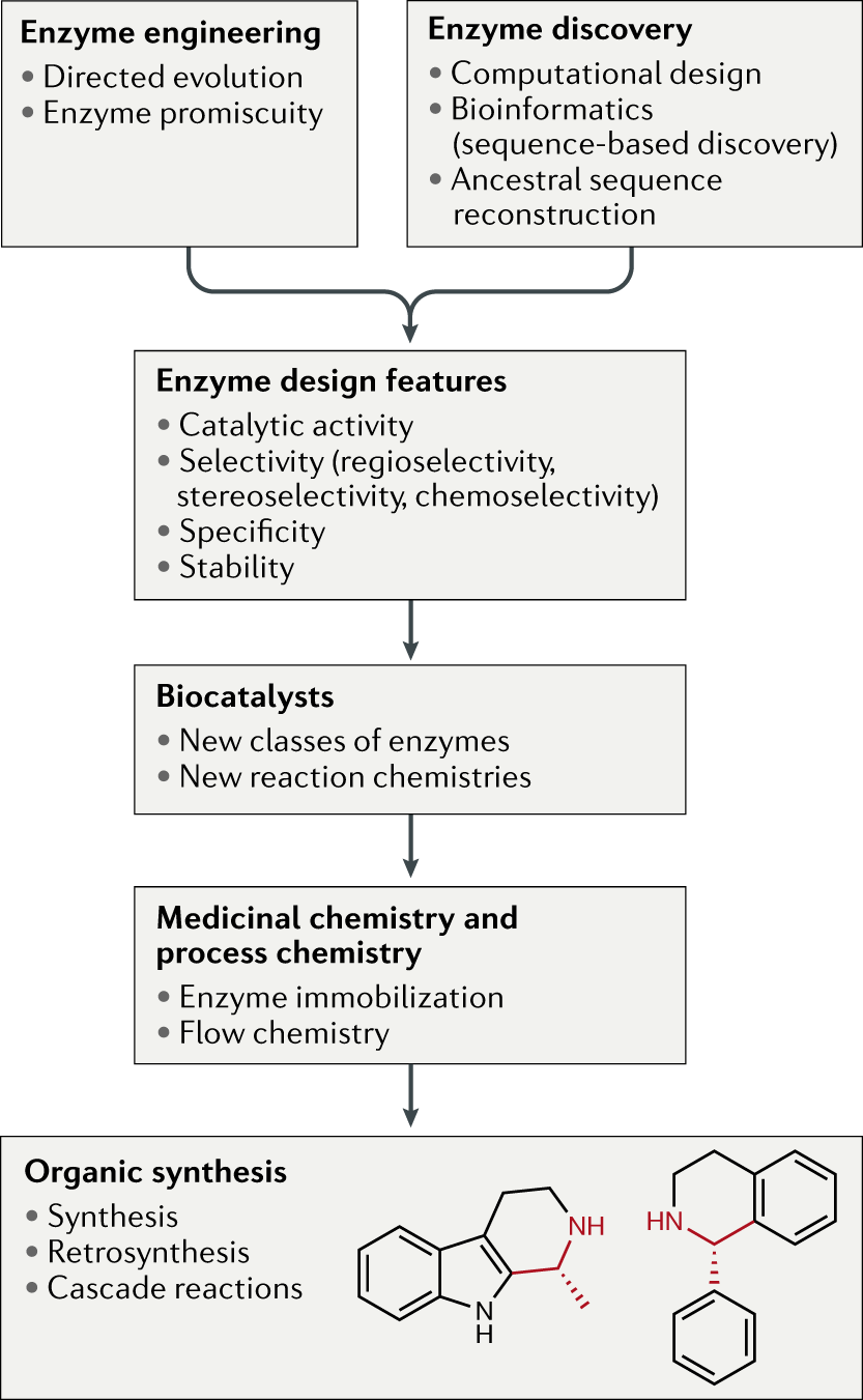 Extending The Application Of Biocatalysis To Meet The - 