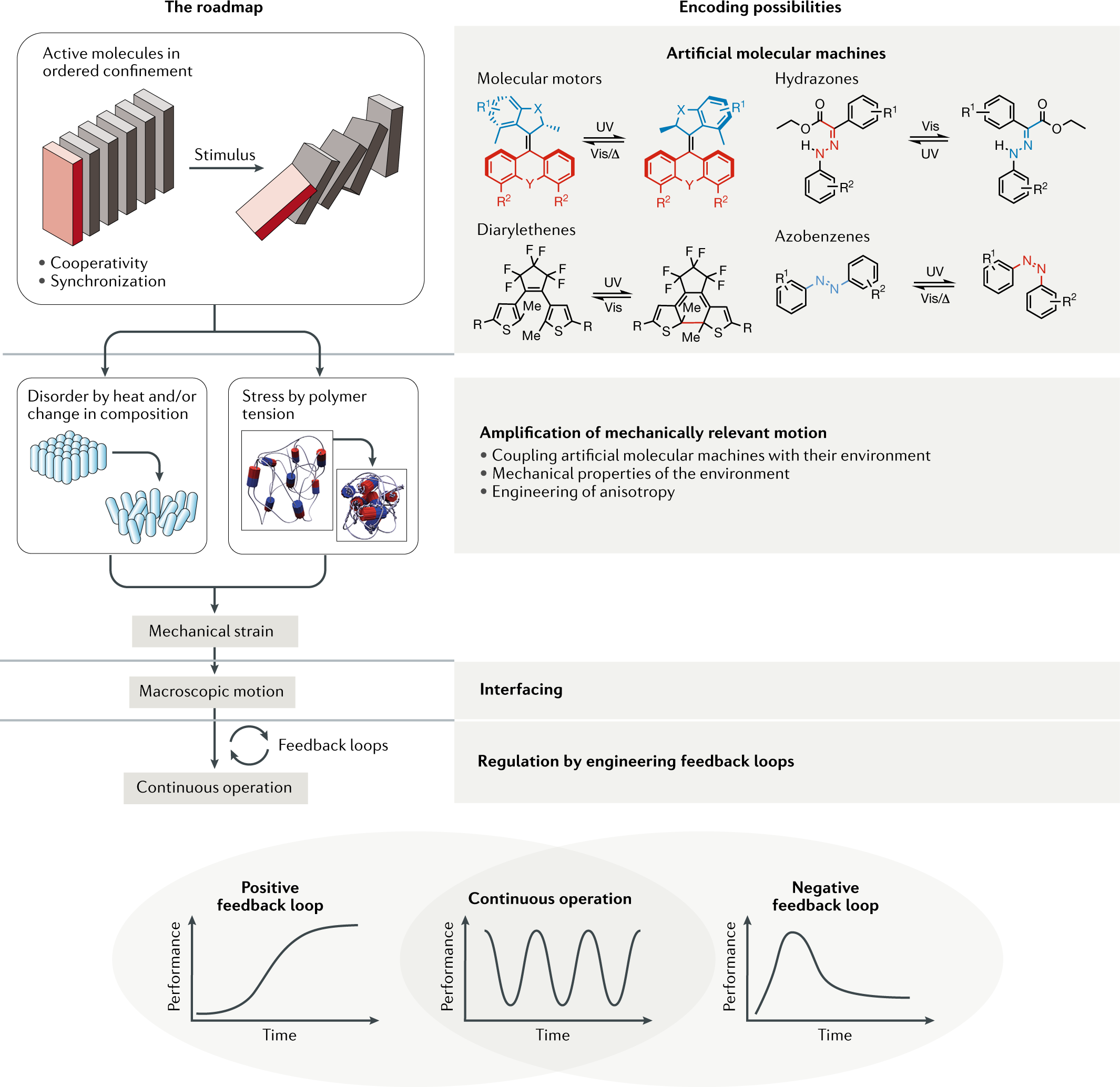 Life Like Motion Driven By Artificial Molecular Machines Nature