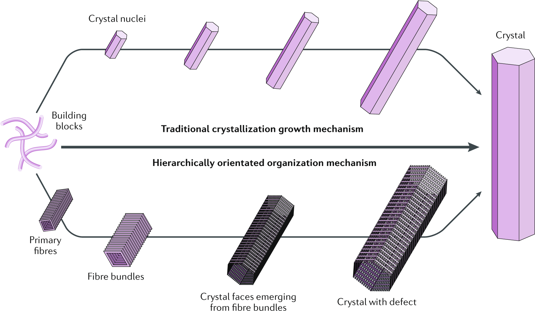 Crystallization and self-assembly of shape-complementary sequence-defined  peptoids - Polymer Chemistry (RSC Publishing) DOI:10.1039/D1PY00426C