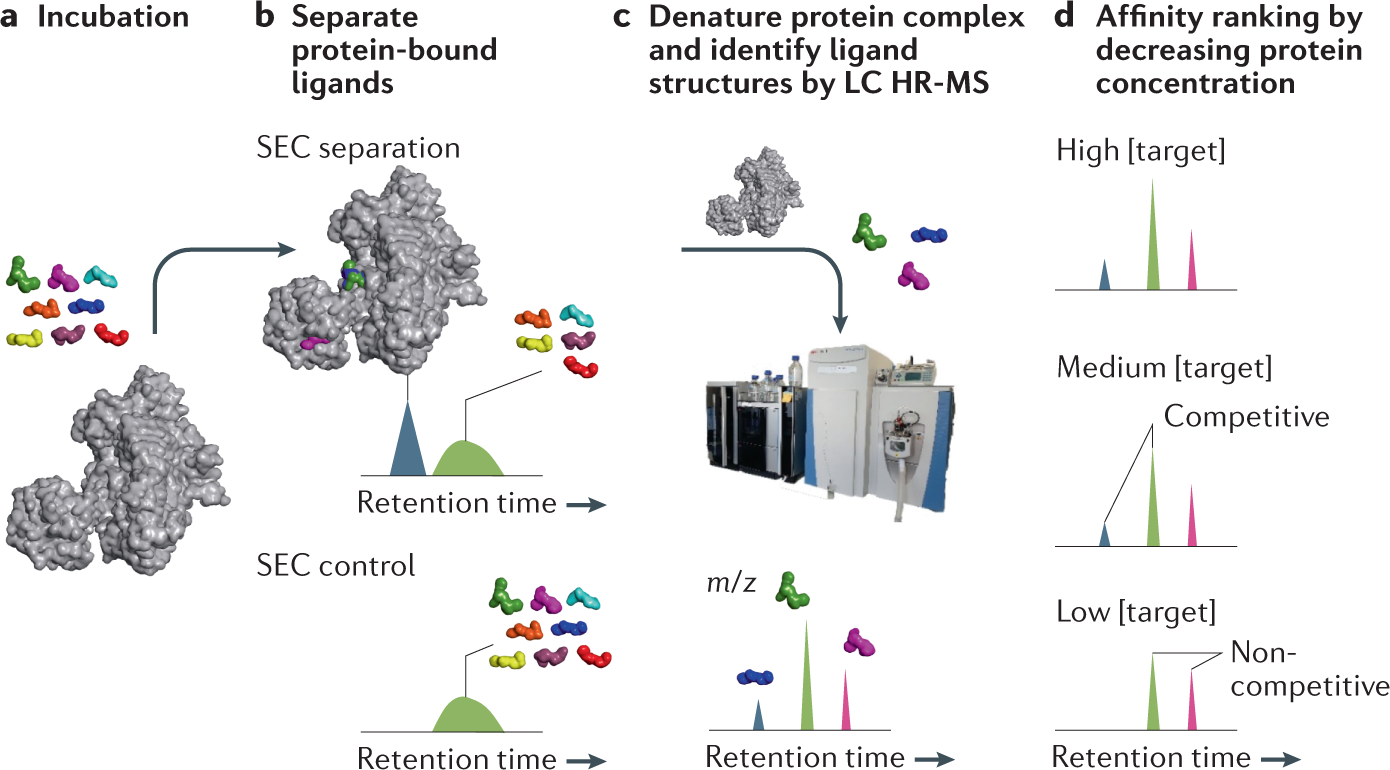 Exploring new targets and chemical space with affinity selection-mass  spectrometry | Nature Reviews Chemistry