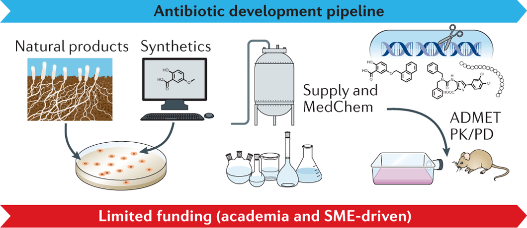 Towards the sustainable discovery and development of new antibiotics |  Nature Reviews Chemistry