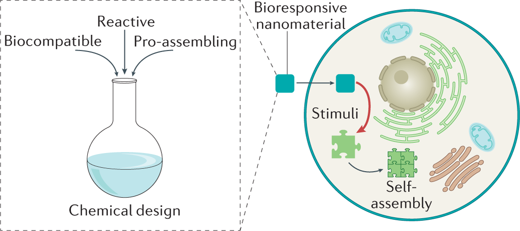 Nano-Assemblies from J-Aggregated Dyes: A Stimuli-Responsive Tool  Applicable To Living Systems