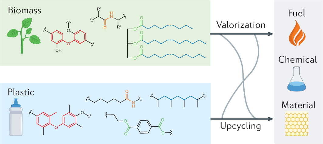 A unified view on catalytic conversion of biomass and waste plastics |  Nature Reviews Chemistry